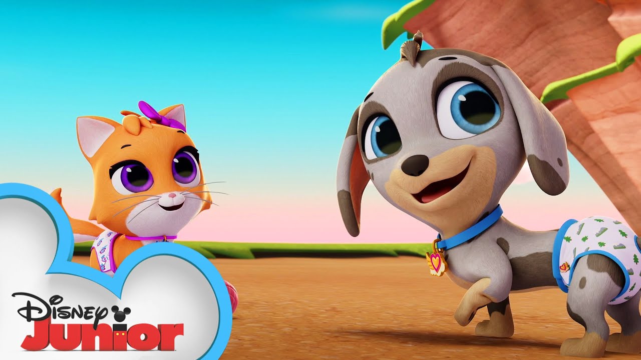 Missing Mia | T.O.T.S | @disneyjr