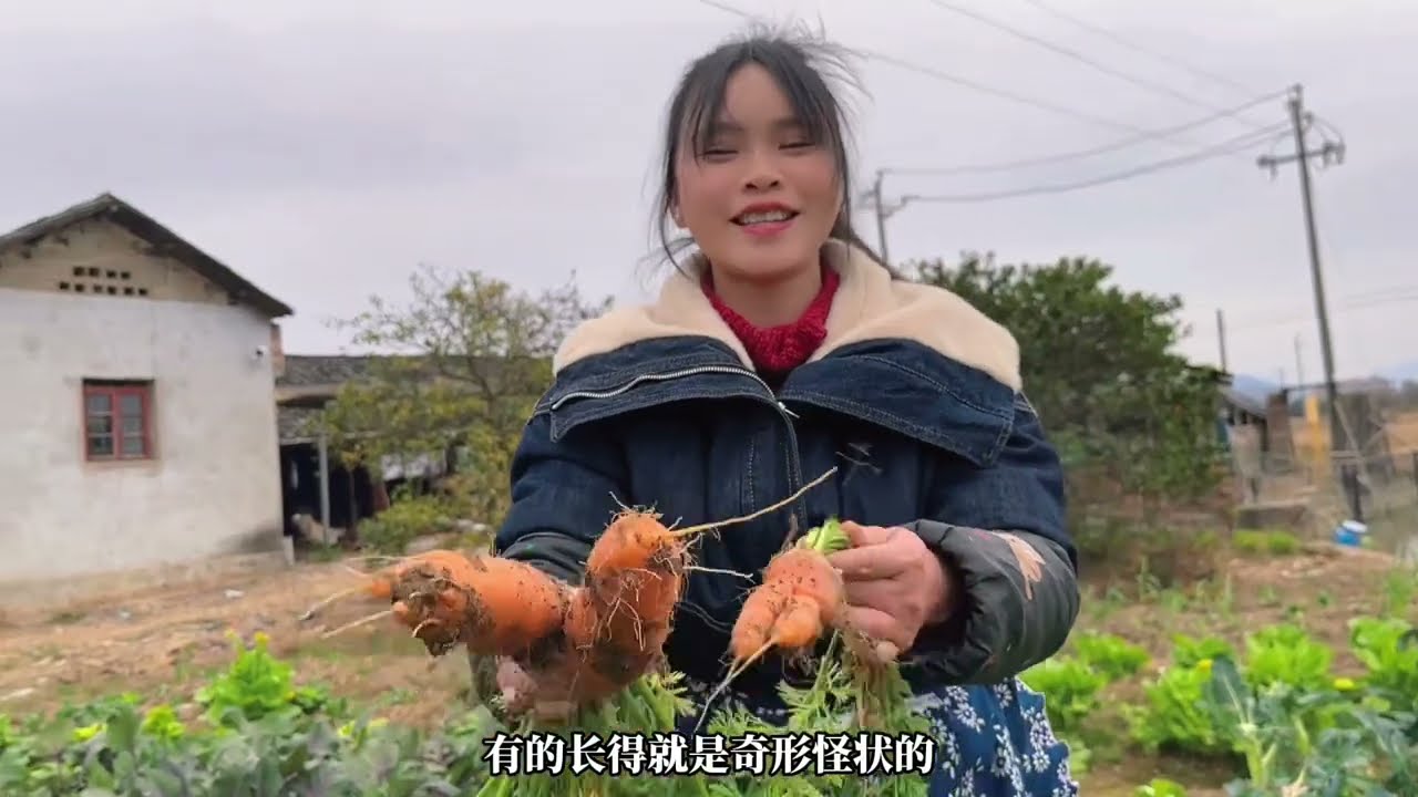 农场大丰收，摘菜抓鸭感谢熊总，吃水不忘挖井人 #记录真实生活 #三农流量扶持计划 #海哥量地球 #新农人