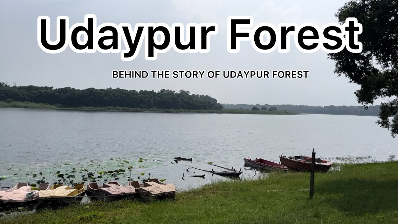 Udaypur Jungle Bettiah || Sariya Man Jheel || Udaypur Wildlife Sanctuary Full Vlog  {Bettiah}
