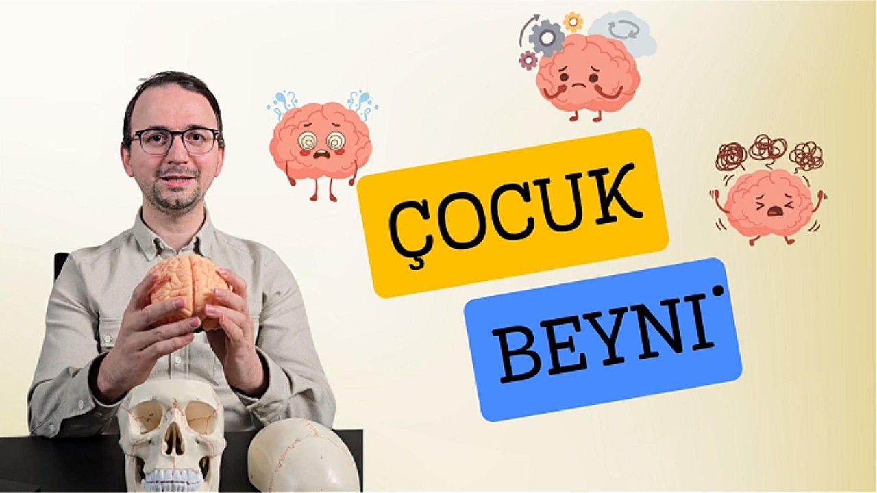 Çocuk Beyni