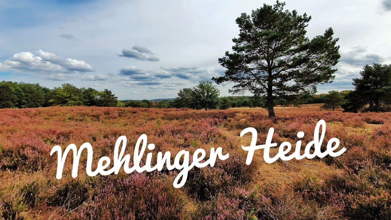 Mehlinger Heide