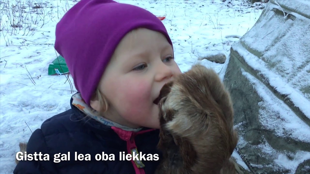 Sámi duodji# Sámi handicraft# Saamen käsityöt