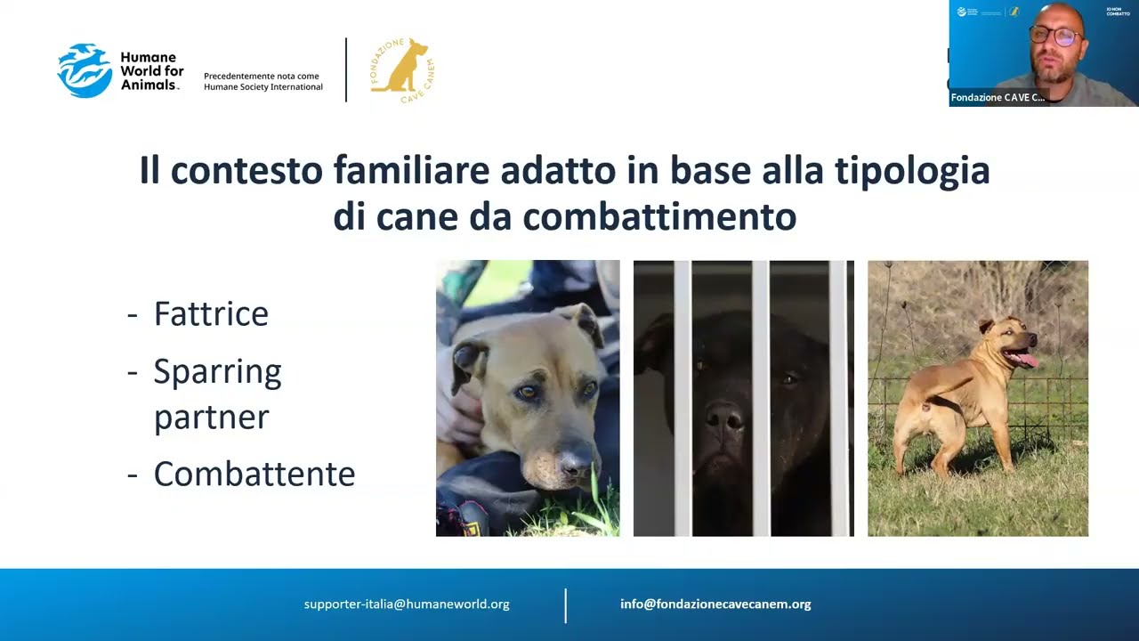 Webinar 