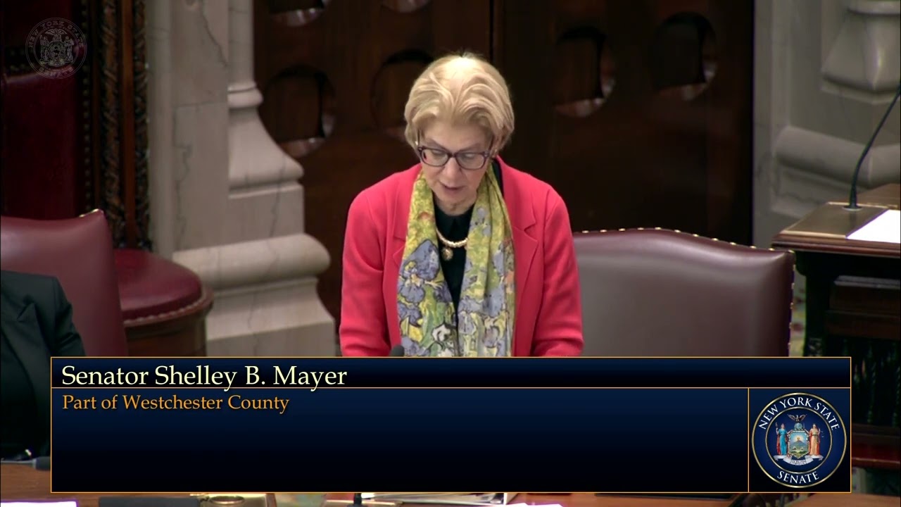 State Senator Shelley Mayer Speaking on the 18th Anniversary of Kosovo's Independence