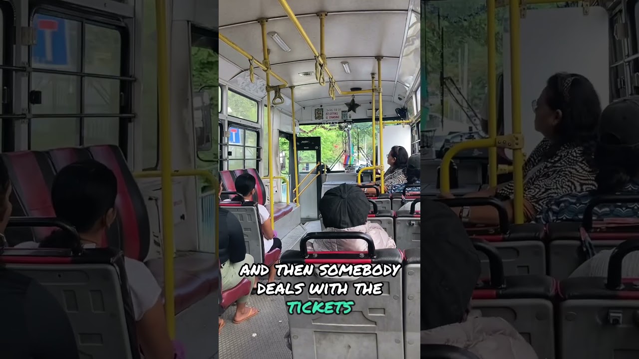 A guide to public buses in Mauritius🇲🇺