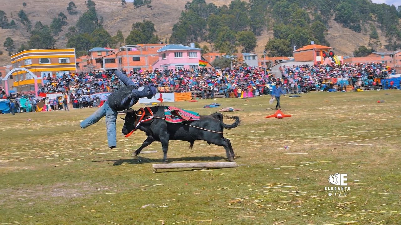 HUARINA | Fiesta taurina | Corrida de toros 2024