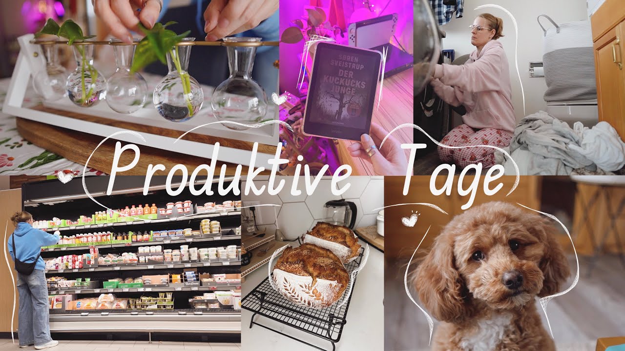 Produktive Tage 🧼🛍️ Laufen | Einkaufen & Food Haul | Book Review | Haushalt und random Gedanken