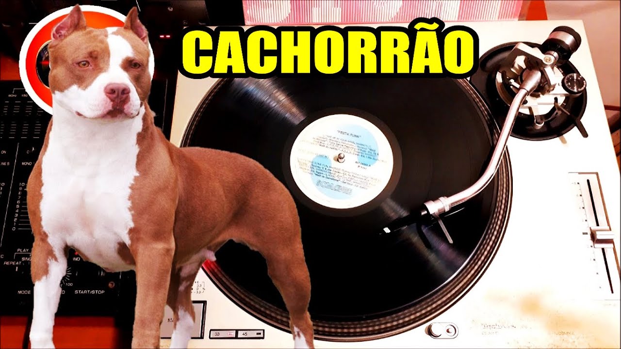 🔴 MELÔ do CACHORRÃO (QUE P0RRAD@) BASS MASTERS - 2.0 MASTER MIX / WE LOVE SOUL (RASTEIRÃO)