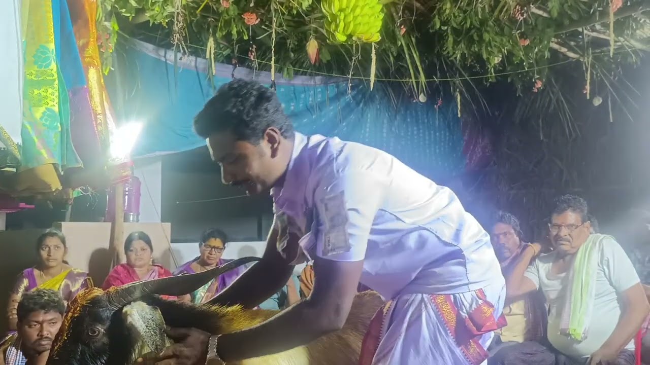Ambati.Thirupathi yadav 9-2-2026 గొల్లచదువు గొట్టలక్ష్మీపురం గ్రామం ph:9398948864