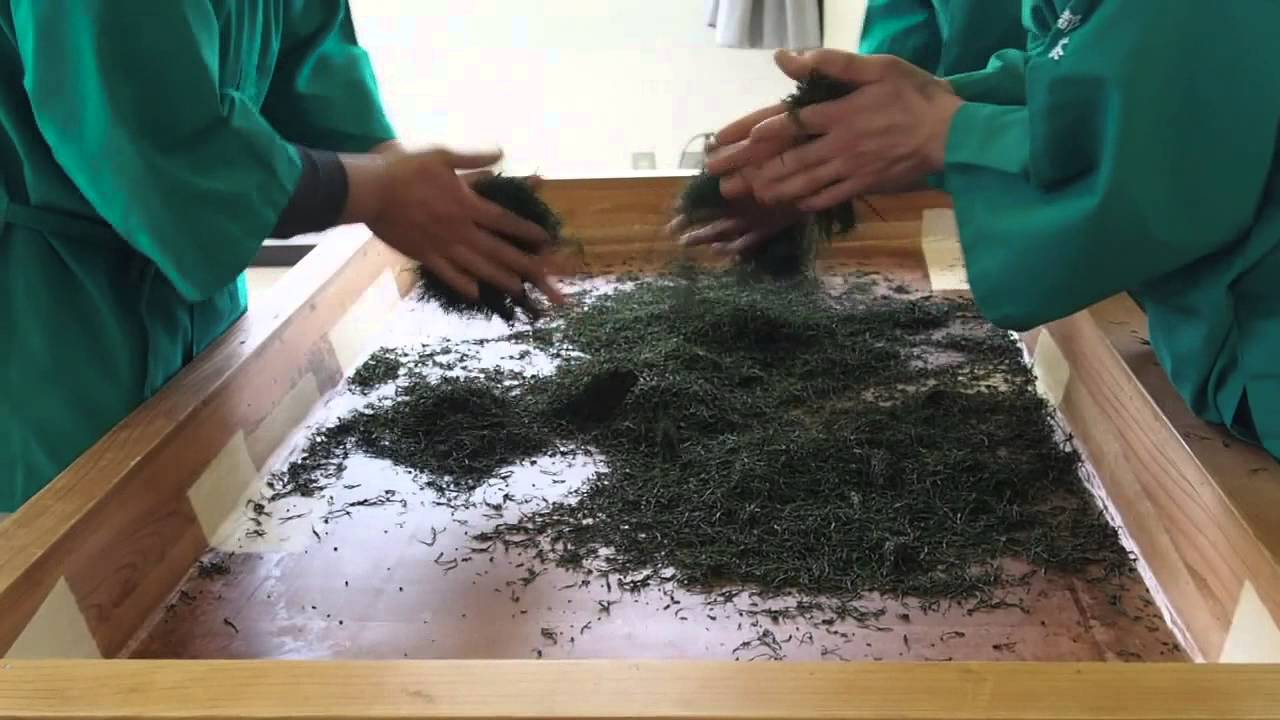 Hand Made Japanese Shincha