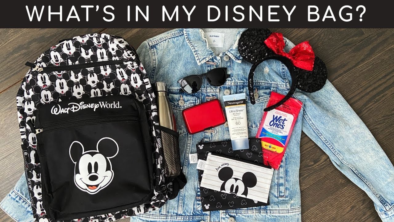 What's in my Disney Park Bag - Winter Edition!