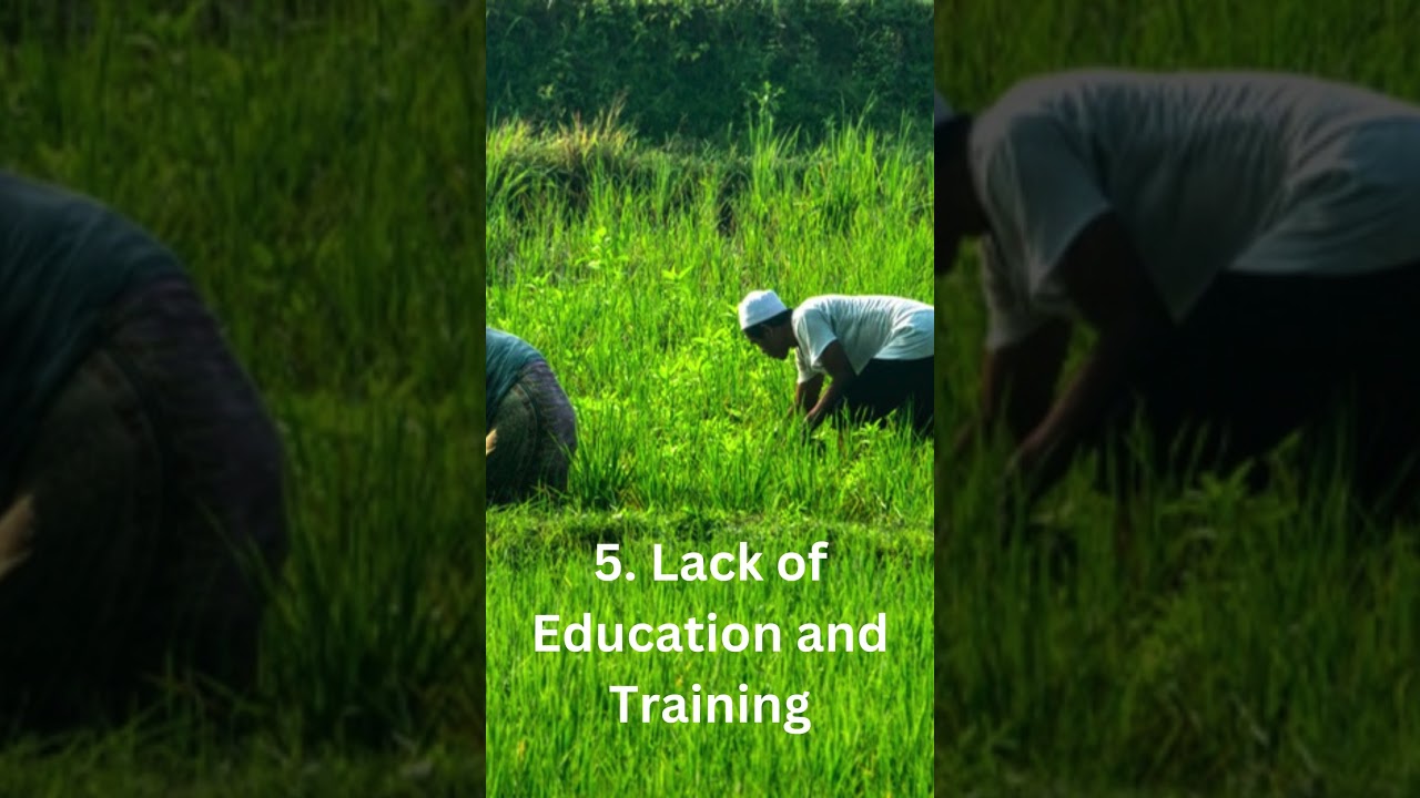 Do you think Indonesian farmers will be able to help them self? #farmerlife  #farmer