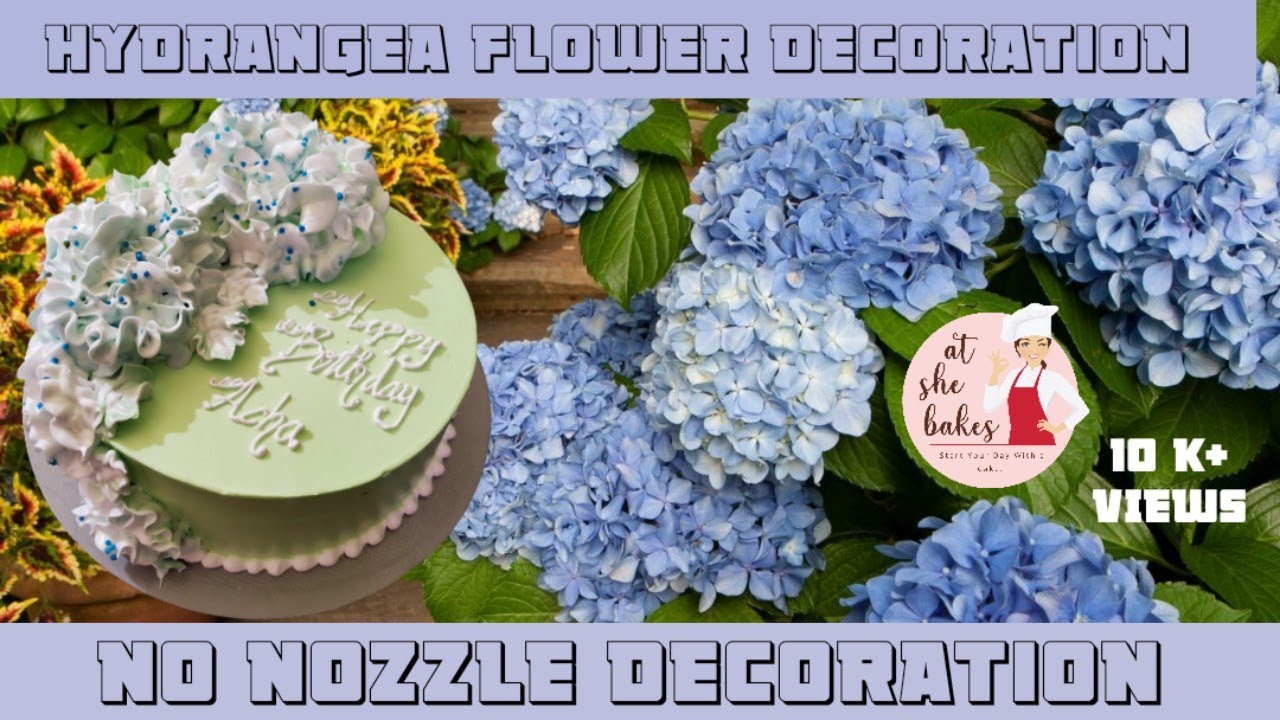 🗣️ ചേച്ചി, Hydrangea Flowers ചെയ്ത് കാണിക്കാമോ❓ 👩‍🍳 Nozzle ഇല്ലാതെ ചെയ്തു കാണിക്കട്ടെ ⁉️