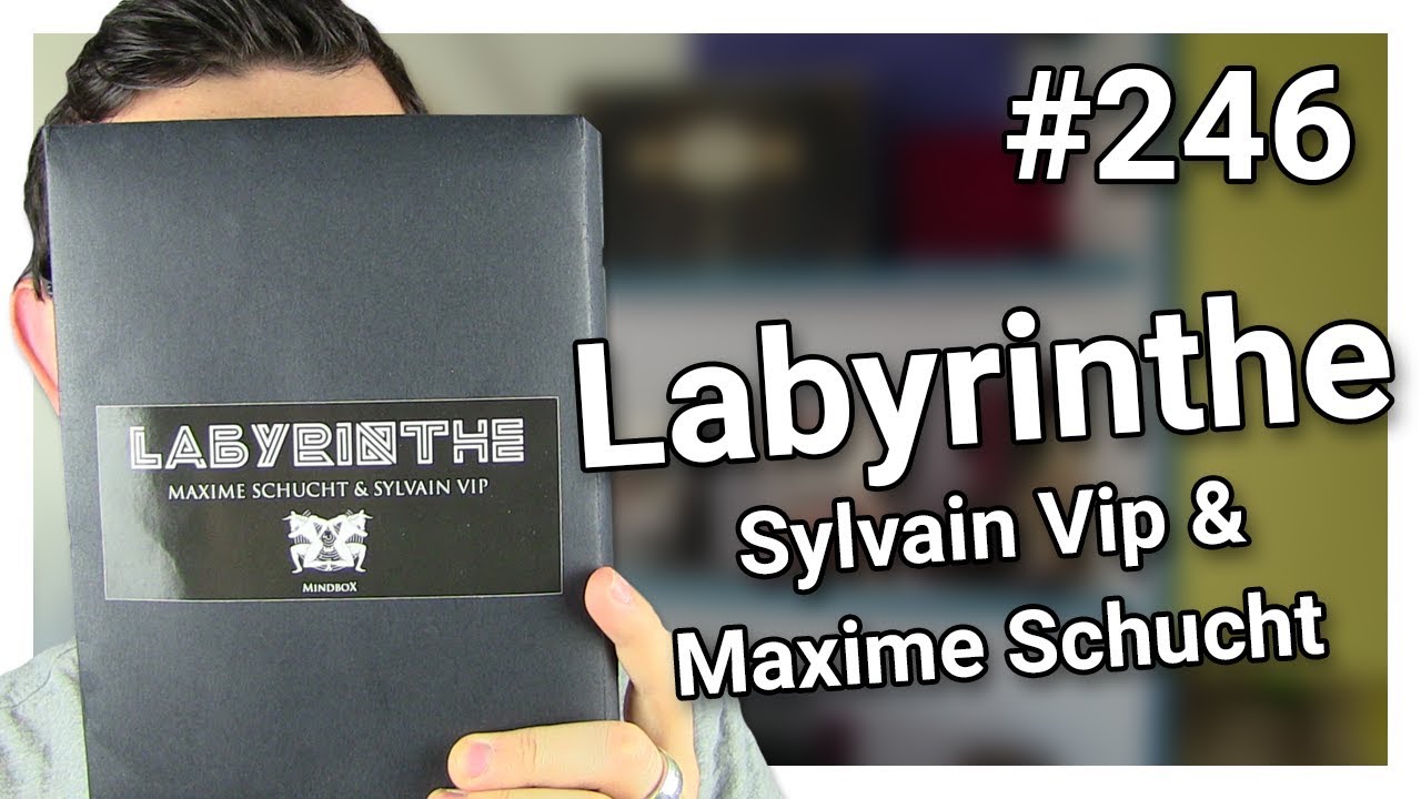 Les avis d'Alexis #246 - Labyrinthe de Sylvain Vip et Maxime Schucht