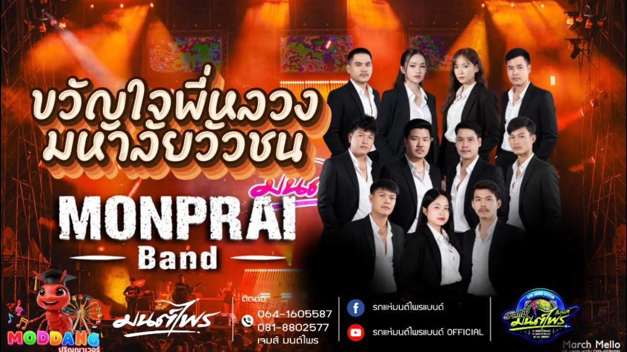 ขวัญใจพี่หลวง - มหาลัยวัวชน #cover #มนต์ไพรแบนด์spm 