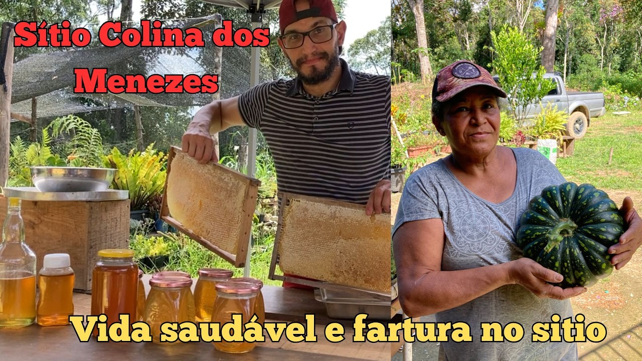 Sítio Colina dos Menezes - Nossa vida no sítio, saudável e com muita fartura! Nossas colheitas