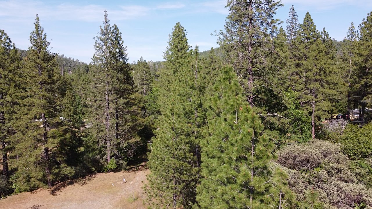 Big Oak Flat