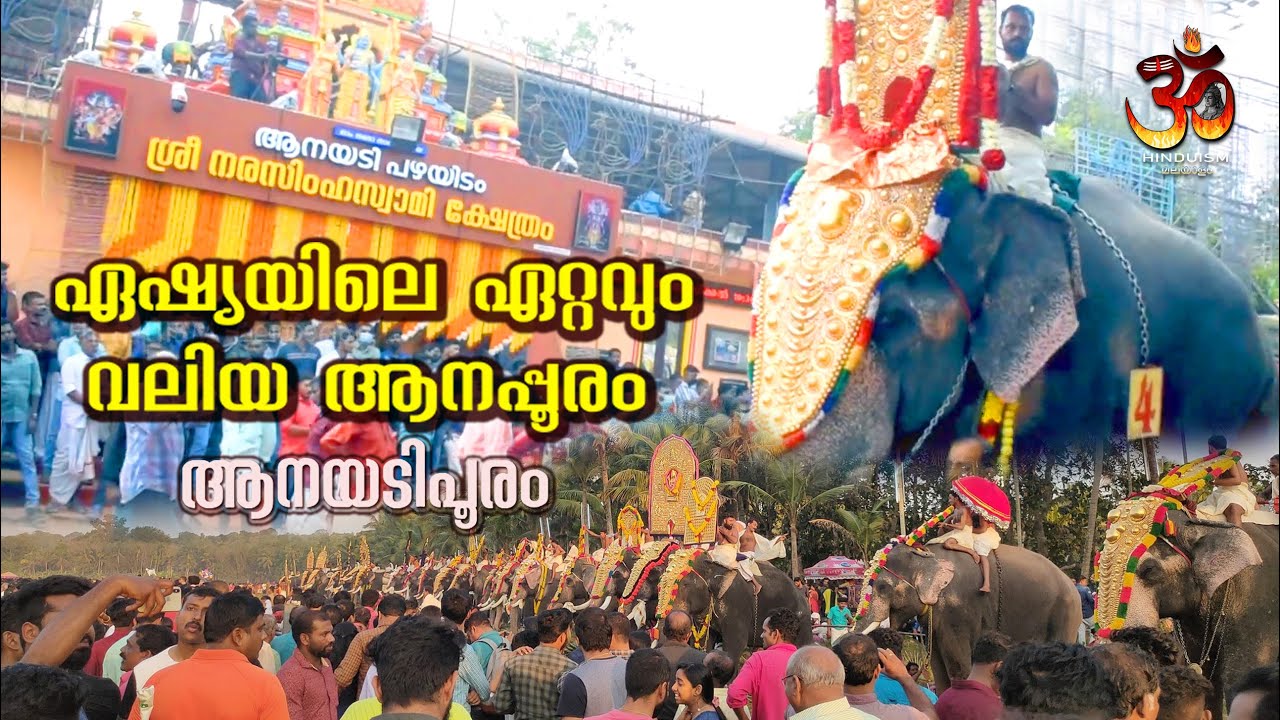 ഏഷ്യയിലെ ഏറ്റവും വലിയ ആനപ്പൂരം | Anayadi Pooram 2023