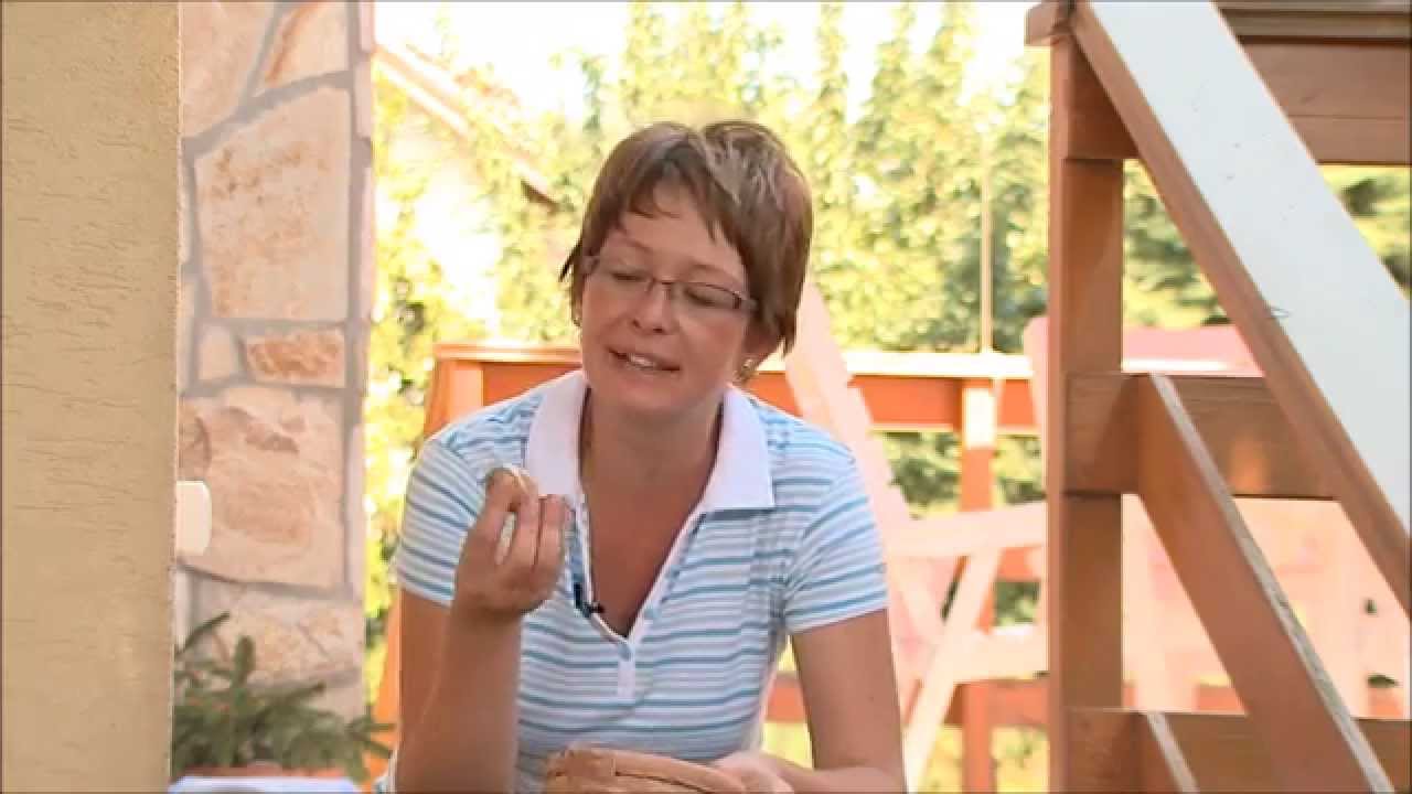 Tavasszal virágzó hagymások ültetése - Kertbarátok - Kertészeti TV - műsor