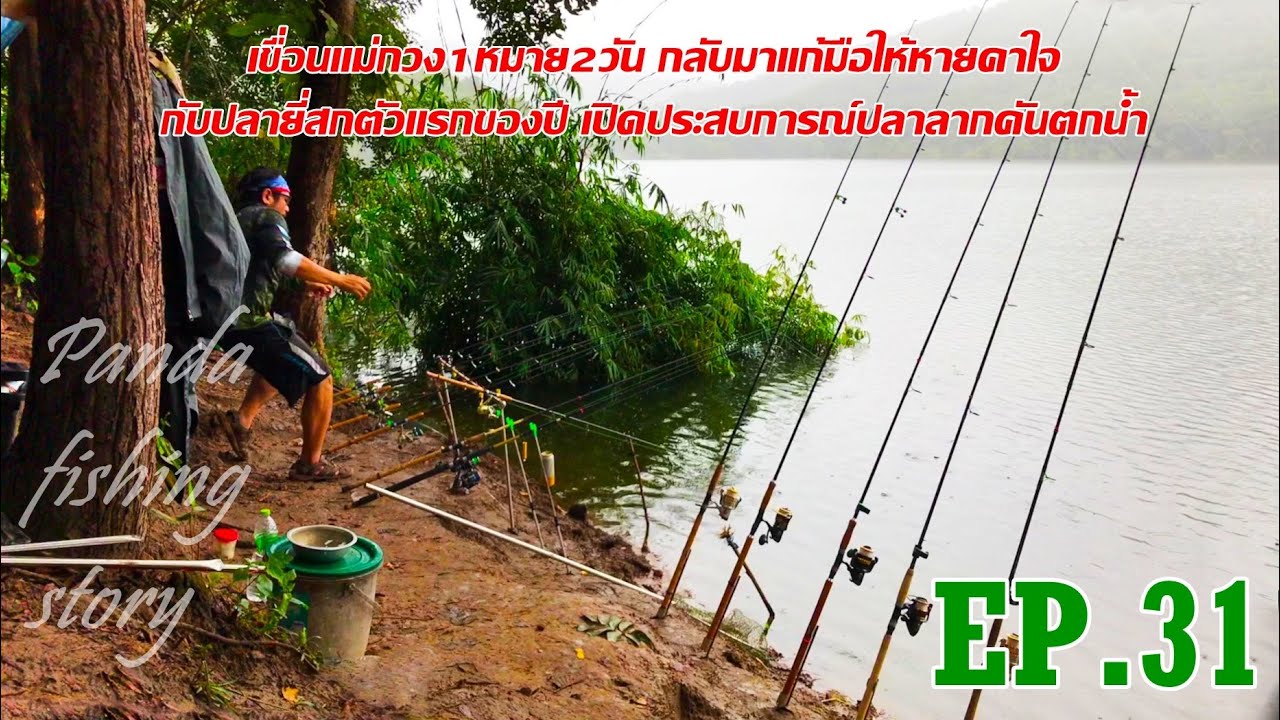 EP.31 เขื่อนแม่กวง 1หมาย2วัน ต้องกลับมาแก้มือให้หายคาใจ กับปลายี่สกตัวแรกของปีกับประสบการณ์คันตกน้ำ