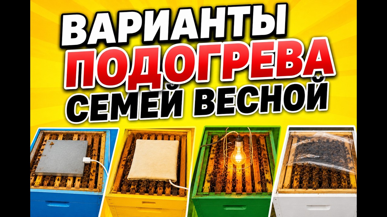 Варианты подогрева семей весной.