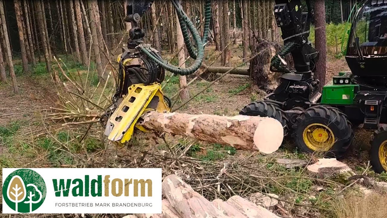 Waldform | Harvester 1270G 8WD