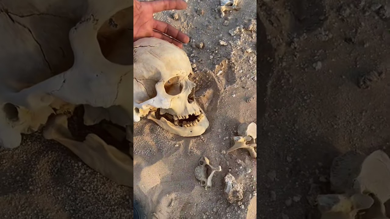 جمجمة انسان👆🏻