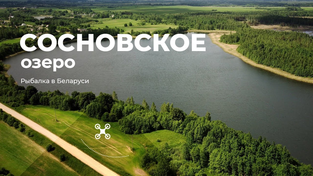 Озеро Сосновское (Шумилинский район)