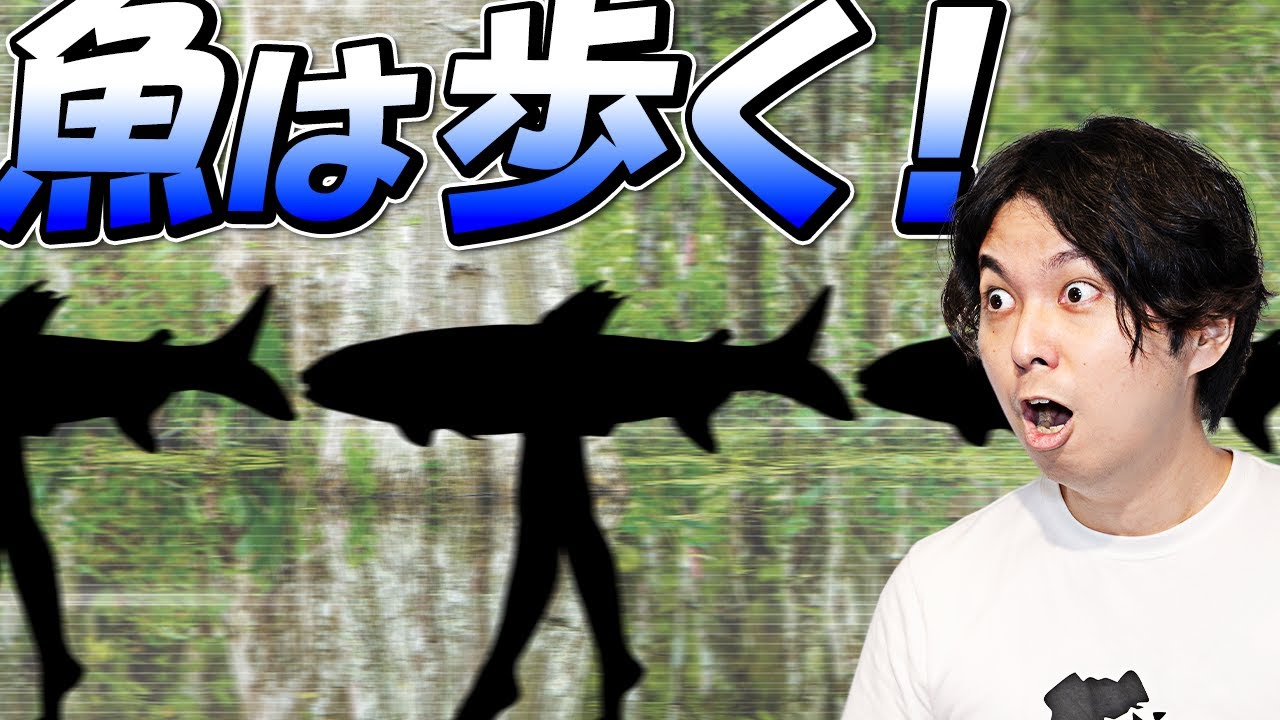 魚は歩く。淡水魚の驚きの移動手段を紹介#74