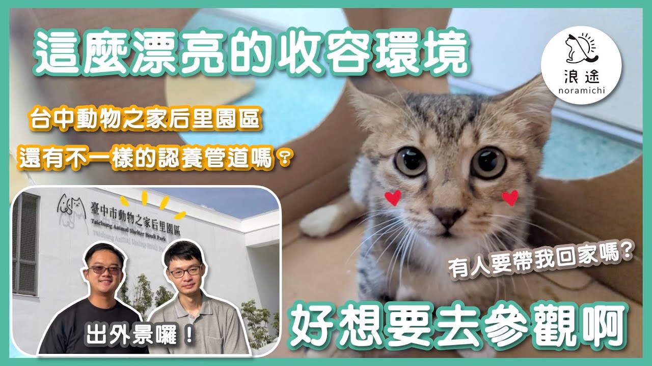 144 這麼漂亮的收容環境，好想去參觀啊 ｜浪途｜特別企劃｜台中動物之家后里園區