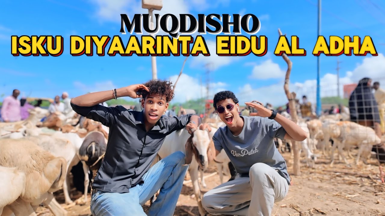 MUQDISHO || ISKU DIYAARINTA EIDU AL ADHA IYO NEEFKA ARIGA OO GAARAY 250$
