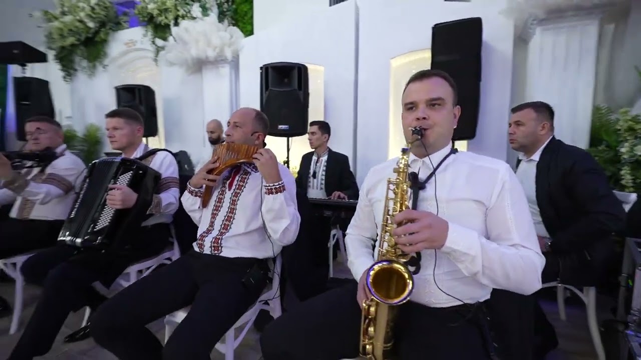 Fratii Stefanet instrumentala Live 2024 - Nunta Marci & Ionut