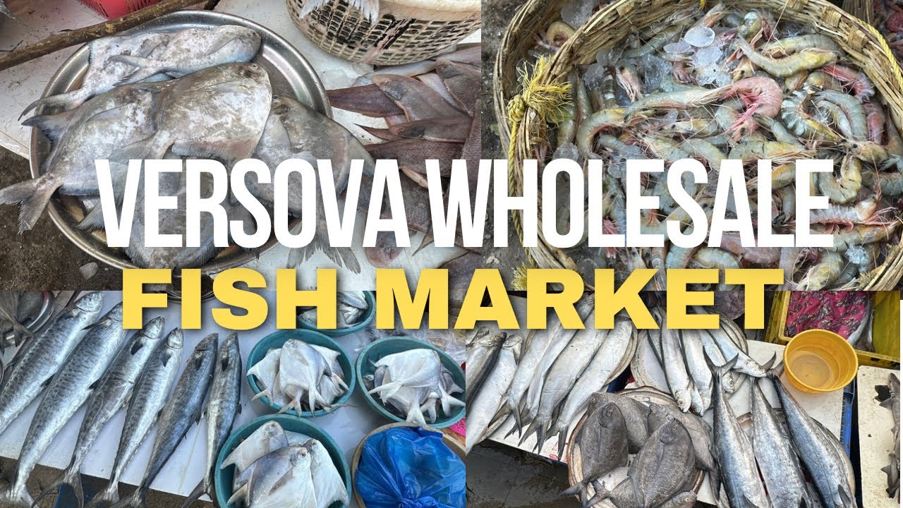 Versova Jetty Fish Market | Versova Wholesale Fish Market | Cheapest Fish Market in Mumbai