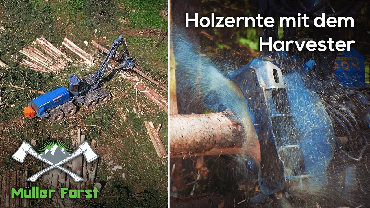 Müller Forst | Holzernte mit dem Harvester