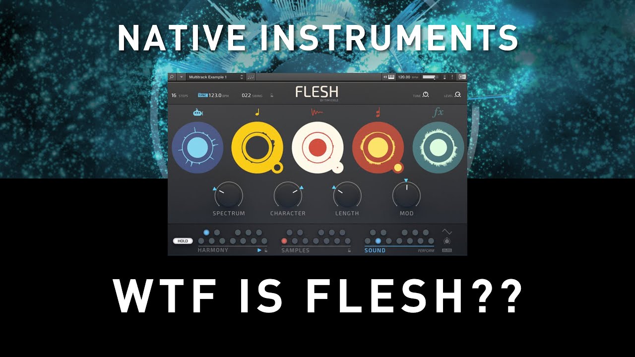 NATIVE INSTRUMENTS - FLESH?