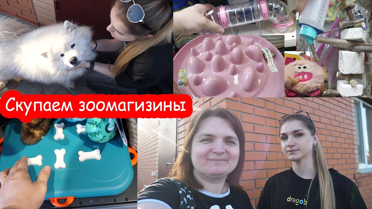 VLOG Скупили половину зоомагазинов города
