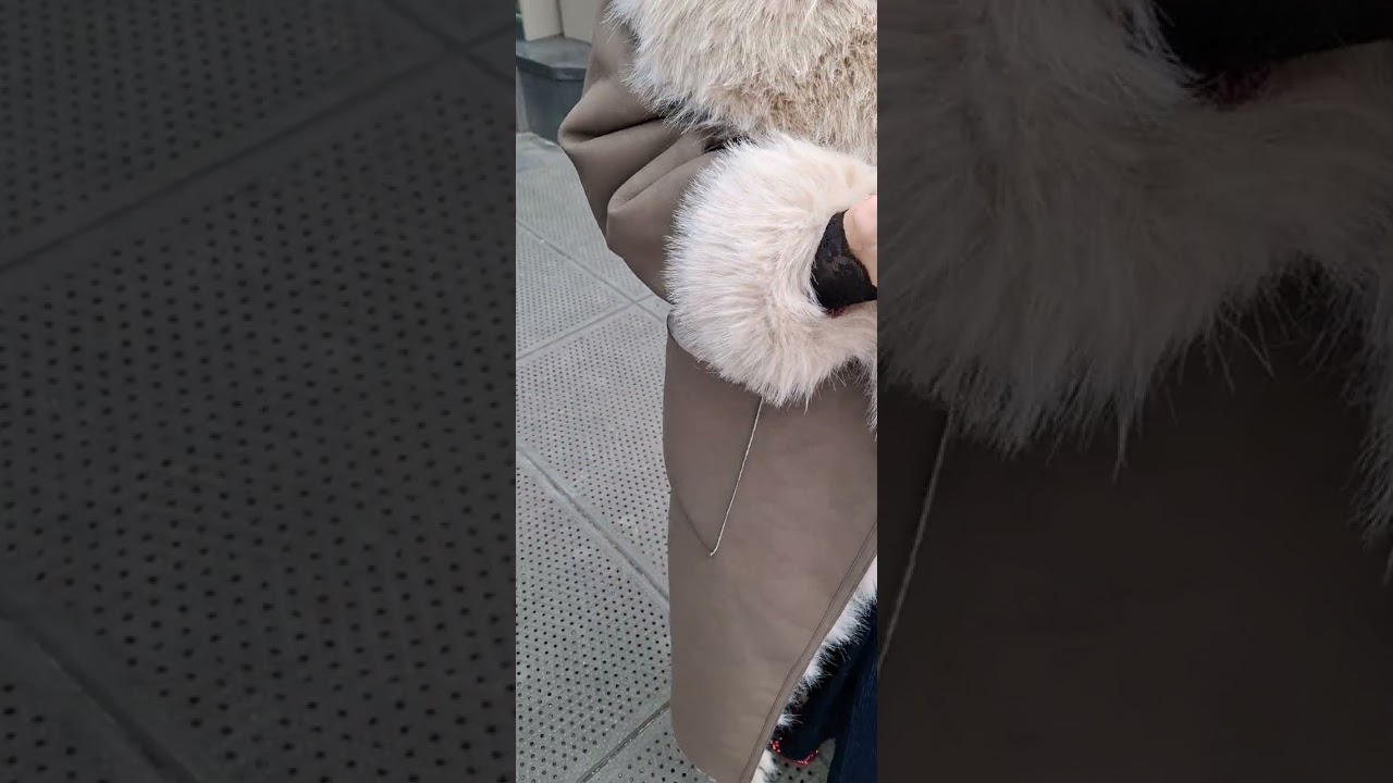 스페인에서 따님과함께 서울에 왔어요, 시청역에서
