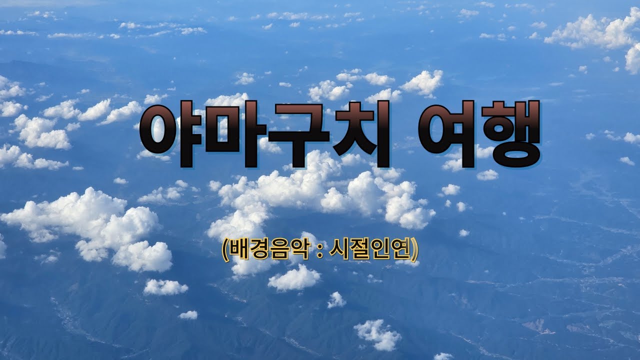 정진행정사TV(시절인연)