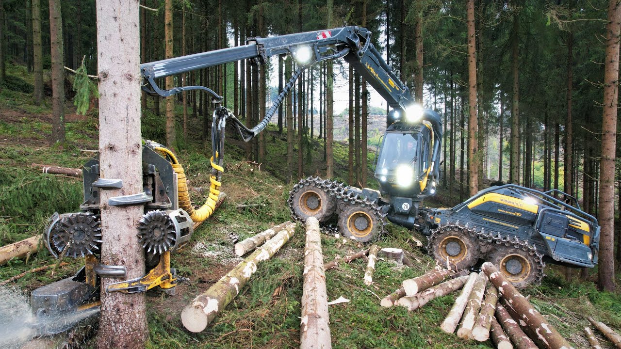 🌲4K|*KingLogger* • Ponsse ScorpionKing • fast logging • HarvesterAction • Forstbetrieb Hipp • Drone🌲