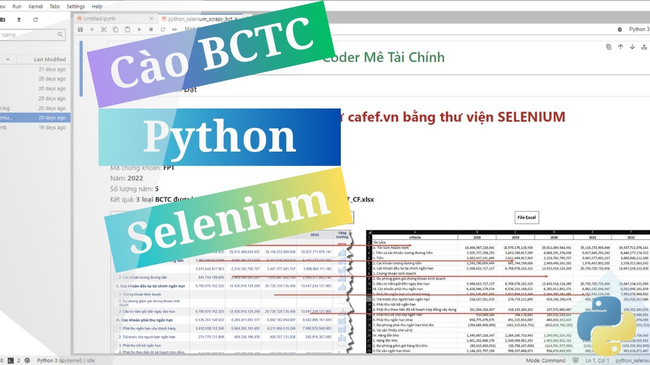 Sử dụng thư viện Selenium của Python để cào dữ liệu BCTC từ cafef.vn