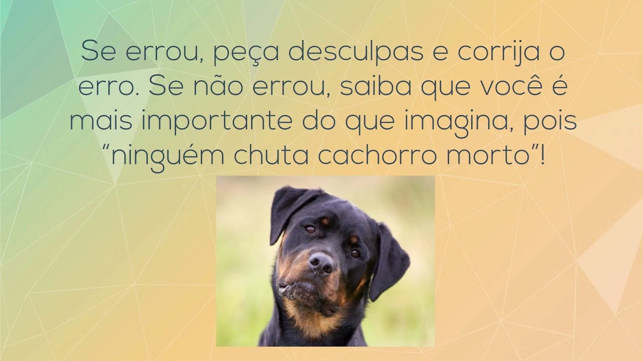 V&iacute;deo de reflex&atilde;o - Ningu&eacute;m chuta cachorro