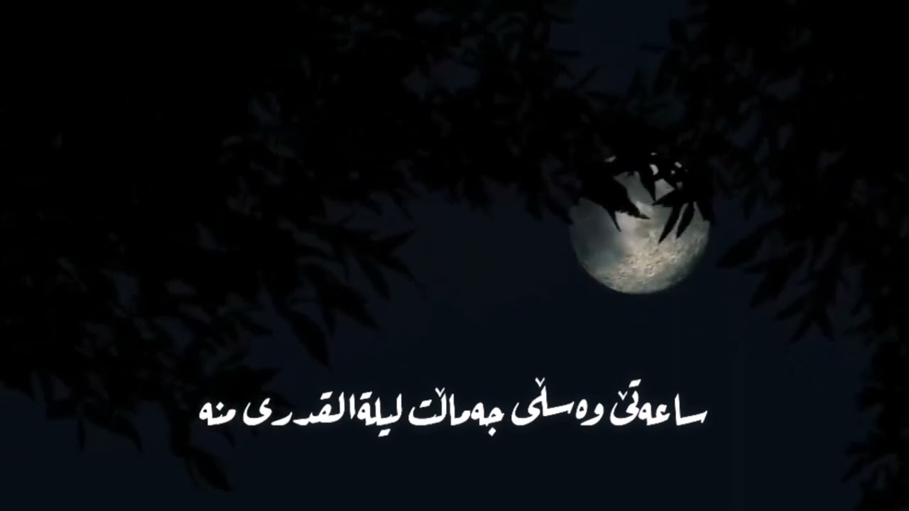 من ئەوا عومرێكه شێواوم بە شێوەی خاڵی ڕووت          چی بەشانەی پەنجەکانت تازه تۆ تەجميل ئەکەی