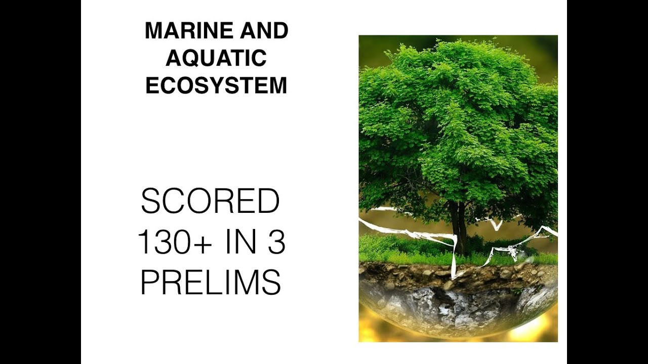 MARINE AND AQUATIC ECOSYSTEM - By CSE 2018 AIR 356 and IFoS 2018 AIR 11