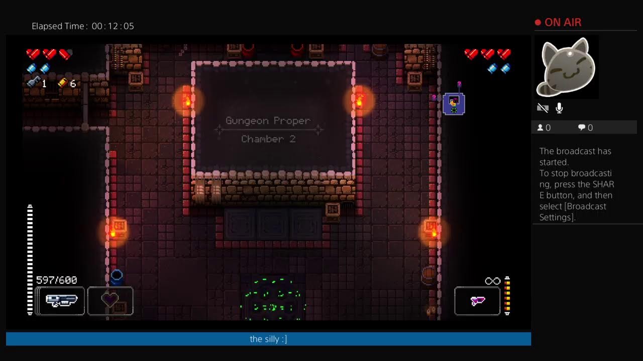 Enter the gungeon with le epic all-knowing CVI