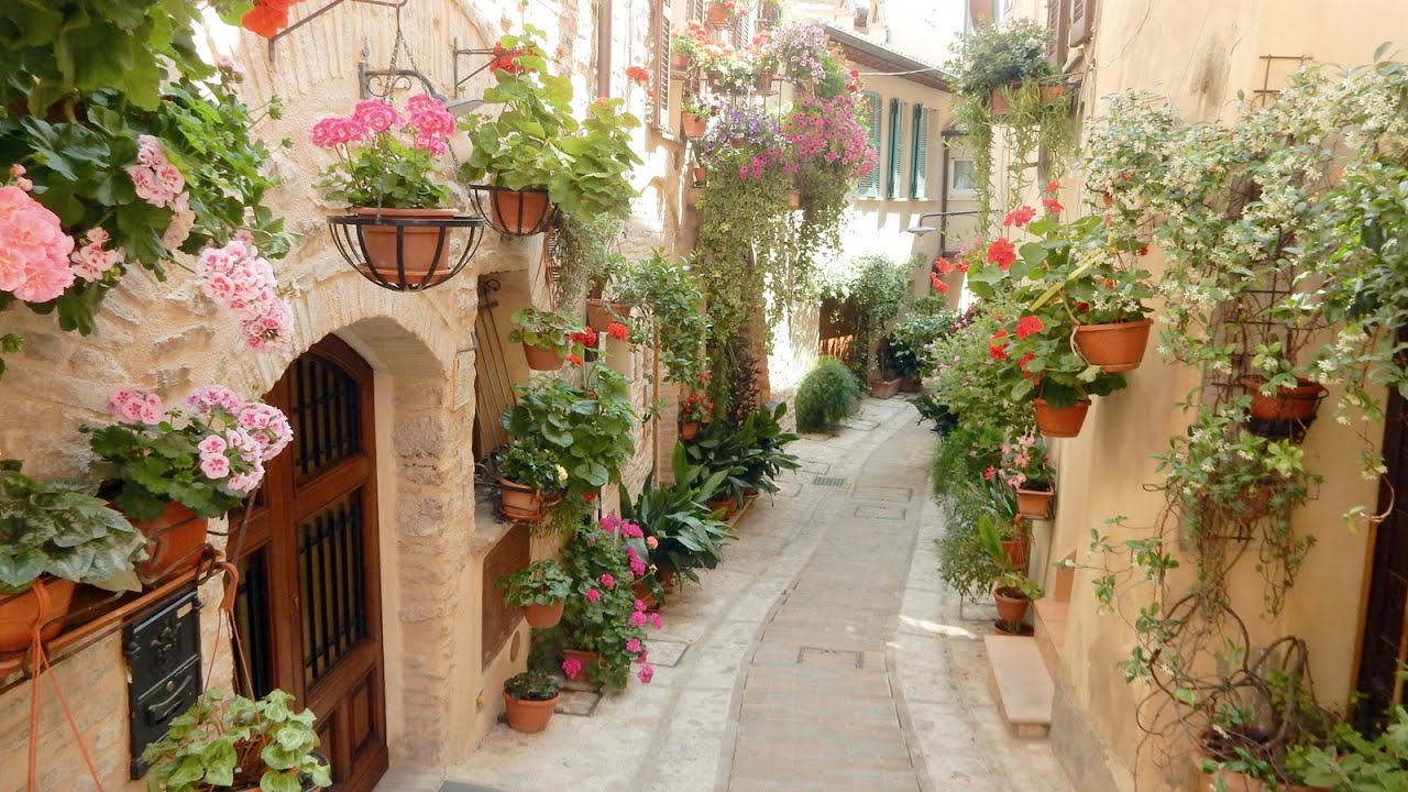 UMBRIA SPELLO IN FIORE 2025 - 4K
