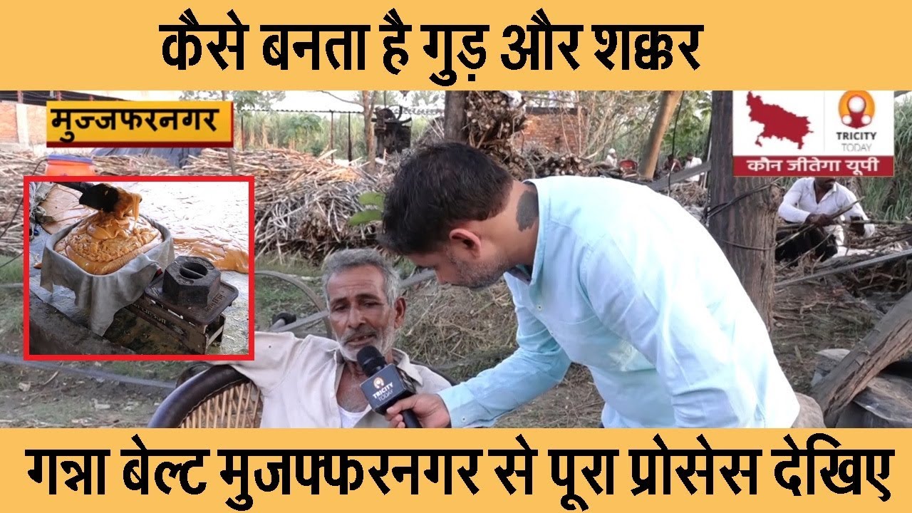 कैसे बनता है गुड़ और शक्कर, मुंह में मिठास घोलने वाली गन्ना बेल्ट मुजफ्फरनगर से पूरा प्रोसेस देखिए