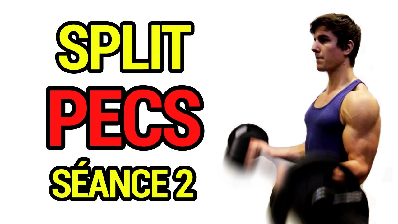 Un Split pour Prendre des Pecs - Séance 2 | QuestionMuscu Ep 100