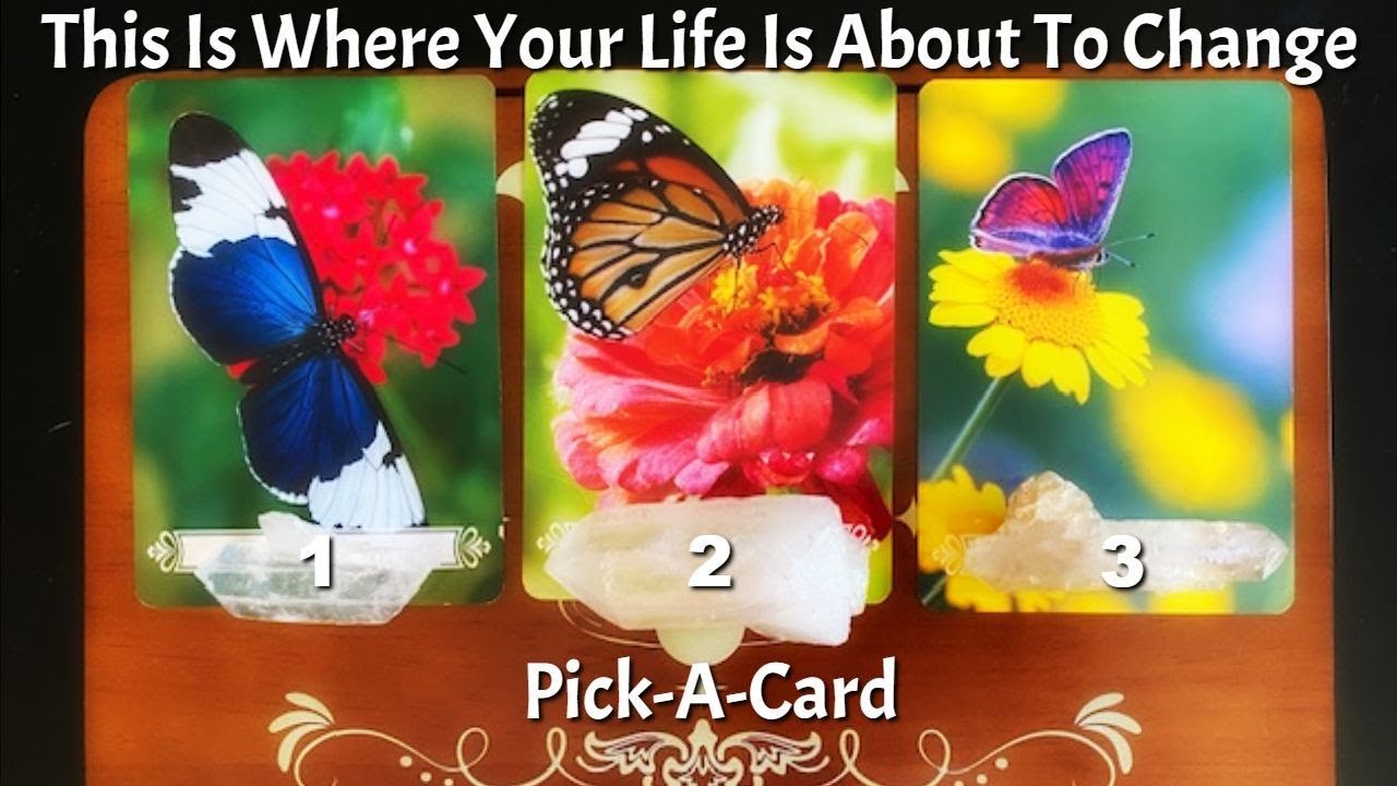 🦋This Is Where Your Life Is About To Change | Pick-A-Card