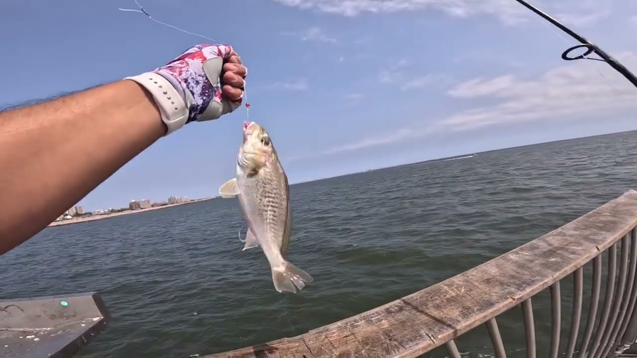  How to catch Croakers & Spots, Coney Island pier NYC 