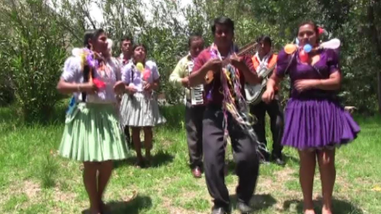 LOS GIRASOLES DE AIQUILE - PIÑA VASITUPI